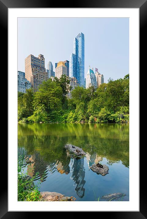 Ducks rest at  The Pond Central Park Manhattan Framed Mounted Print by Greg Marshall