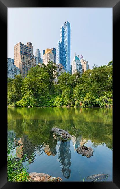 Ducks rest at  The Pond Central Park Manhattan Framed Print by Greg Marshall