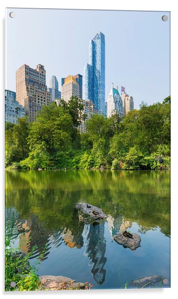 Ducks rest at  The Pond Central Park Manhattan Acrylic by Greg Marshall