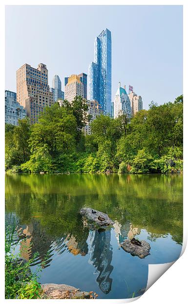 Ducks rest at  The Pond Central Park Manhattan Print by Greg Marshall
