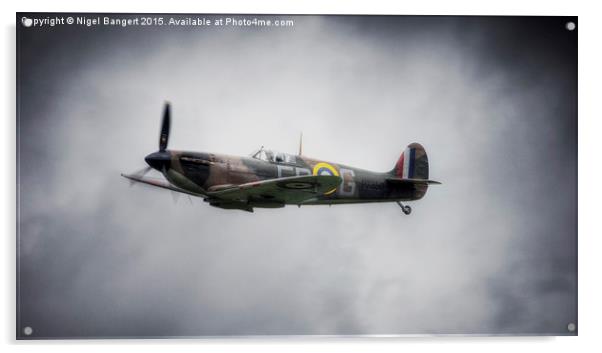  P7350 Spitfire (Mk IIa) Acrylic by Nigel Bangert