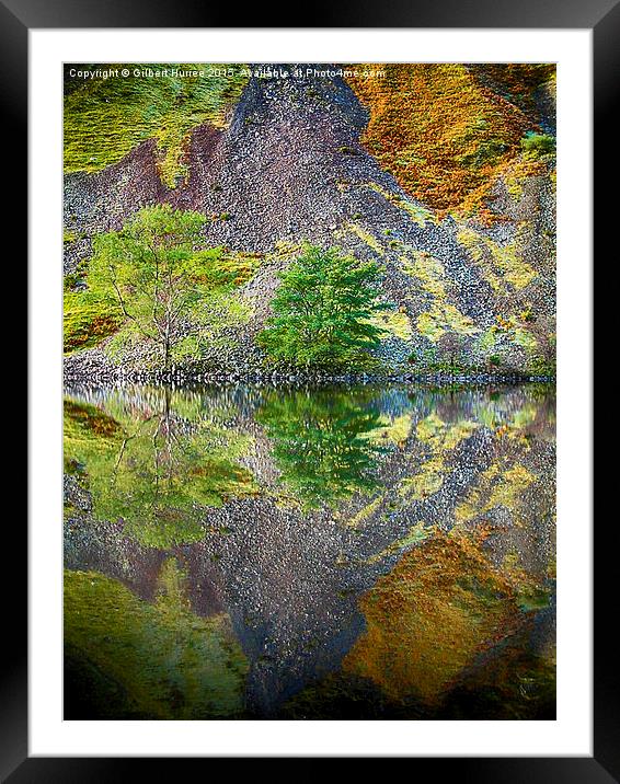  Trees reflected in the Scottish Loch Framed Mounted Print by Gilbert Hurree