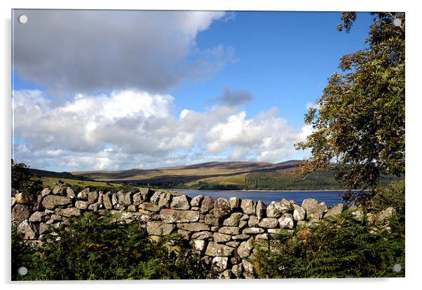 A stone wall beside Llyn Celyn  Acrylic by Harvey Hudson