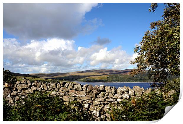 A stone wall beside Llyn Celyn  Print by Harvey Hudson