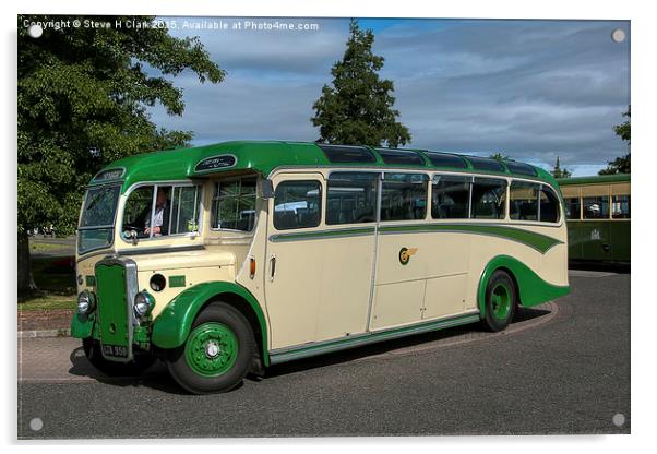 Southern National Bristol LL6B Coach Acrylic by Steve H Clark