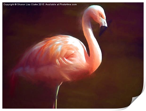  Flamingo dream Print by Sharon Lisa Clarke