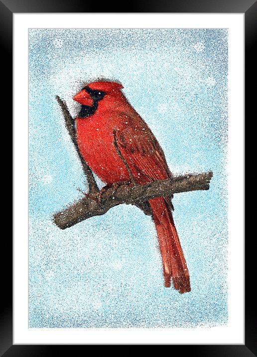Painted Cardinal Bird, With snowflakes and snow Framed Mounted Print by Tanya Hall