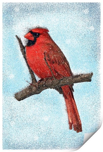 Painted Cardinal Bird, With snowflakes and snow Print by Tanya Hall
