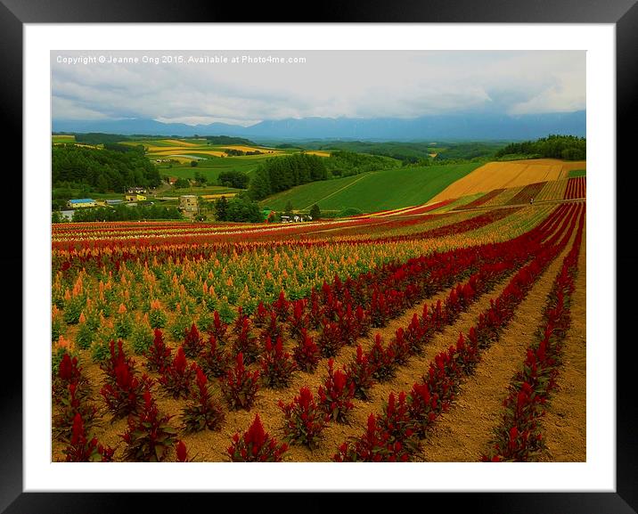 Rows of Flowers Framed Mounted Print by Jeanne Ong