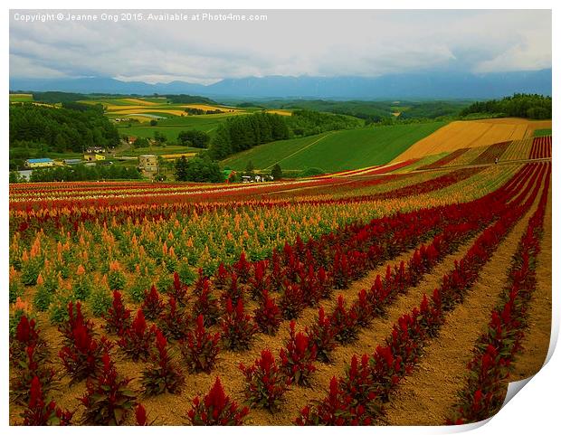 Rows of Flowers Print by Jeanne Ong