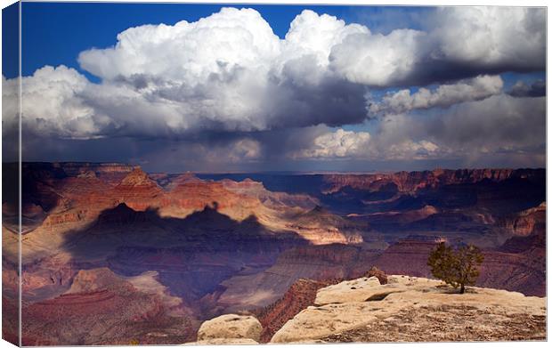 Rain over the Grand Canyon Canvas Print by Mike Dawson