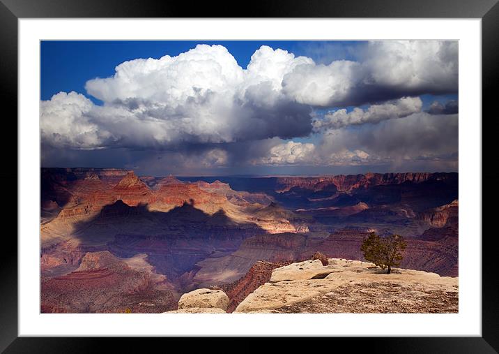 Rain over the Grand Canyon Framed Mounted Print by Mike Dawson
