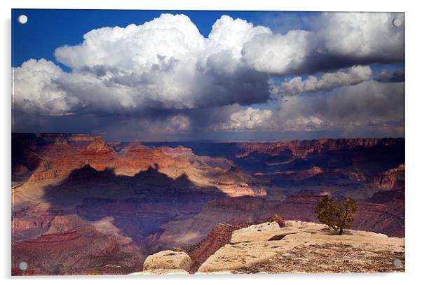 Rain over the Grand Canyon Acrylic by Mike Dawson