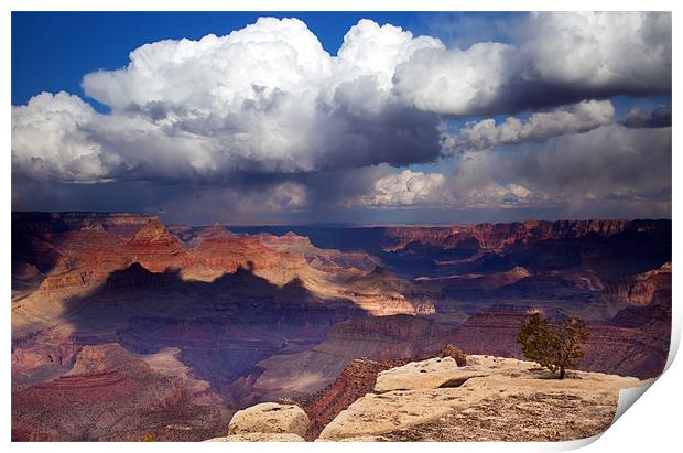 Rain over the Grand Canyon Print by Mike Dawson