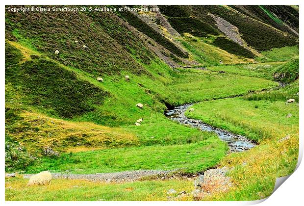  Moffat Water Valley Print by Gisela Scheffbuch