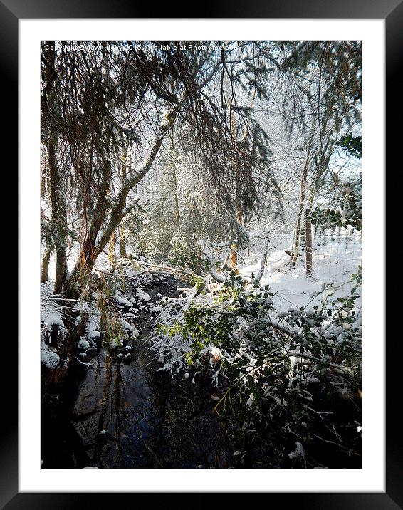  Burn in the snow. Framed Mounted Print by Dawn Rigby