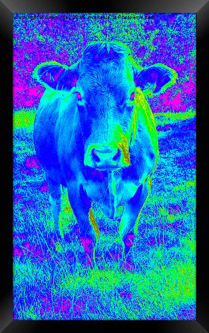  Blue Cow Framed Print by Dawn Rigby