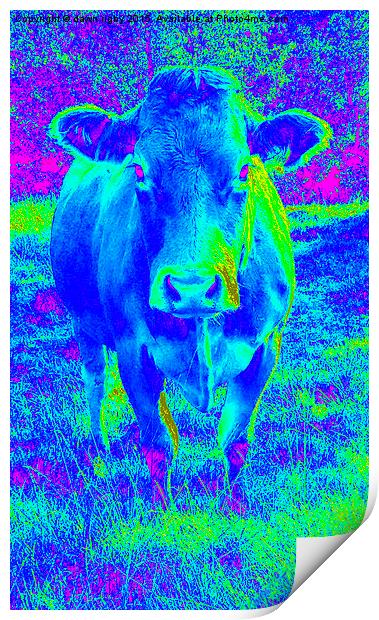  Blue Cow Print by Dawn Rigby