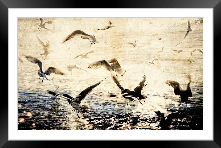  Birds On Stage Framed Mounted Print by Florin Birjoveanu
