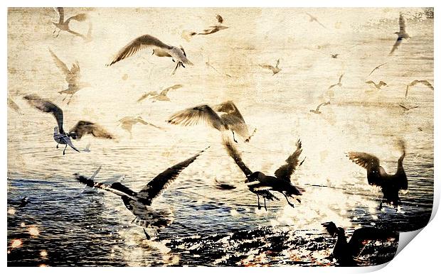  Birds On Stage Print by Florin Birjoveanu