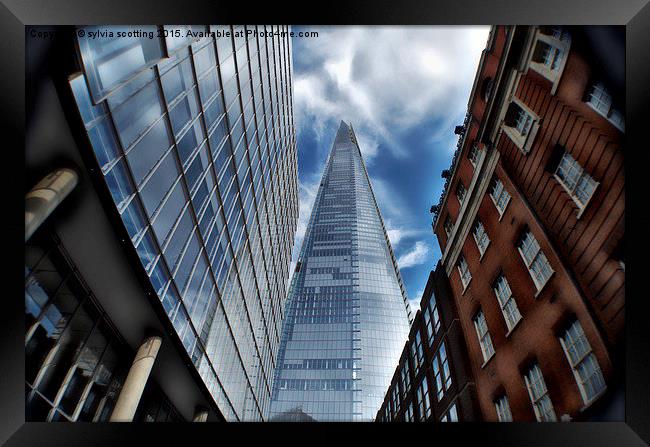  The Shard London  Framed Print by sylvia scotting