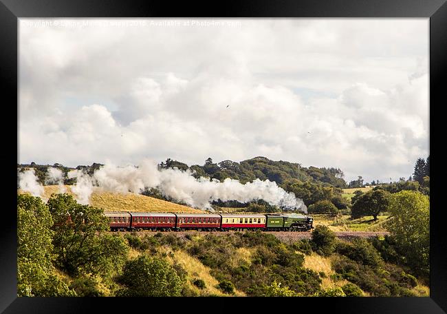  Just Steaming Along Nicely Framed Print by Lynne Morris (Lswpp)