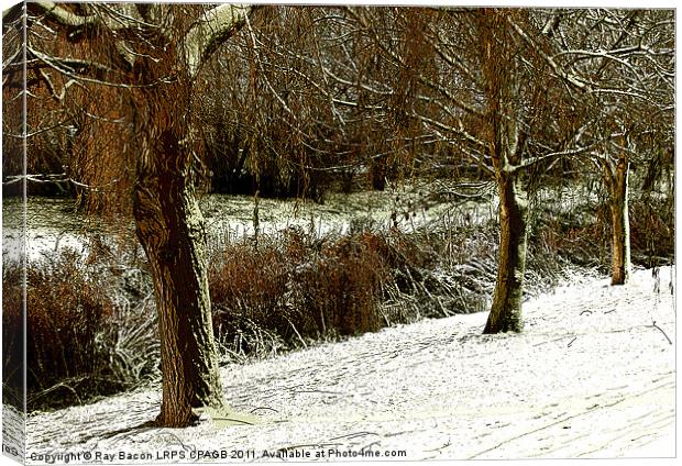 WINTER Canvas Print by Ray Bacon LRPS CPAGB
