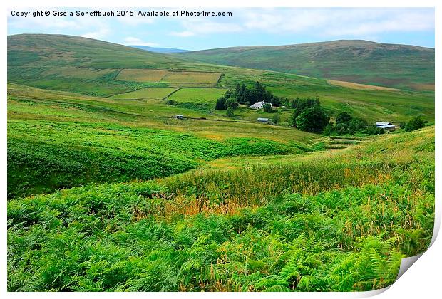  Green Southern Uplands Print by Gisela Scheffbuch