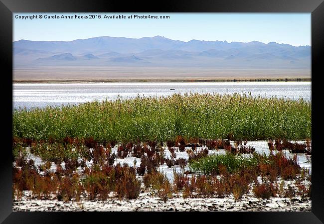  Gobi Desert Mongolia Framed Print by Carole-Anne Fooks