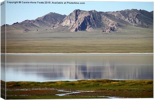  Gobi Desert Mongolia Canvas Print by Carole-Anne Fooks