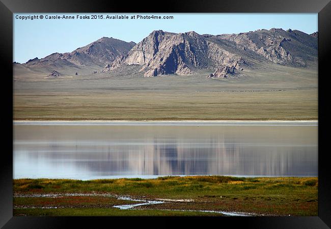  Gobi Desert Mongolia Framed Print by Carole-Anne Fooks