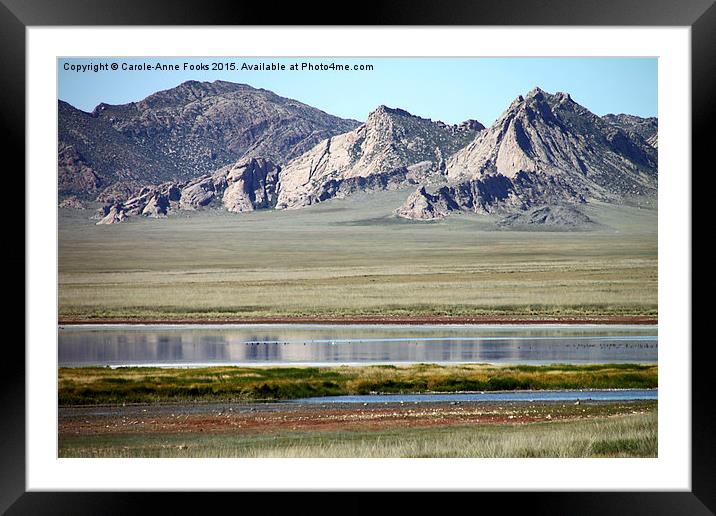  Gobi Desert Mongolia Framed Mounted Print by Carole-Anne Fooks