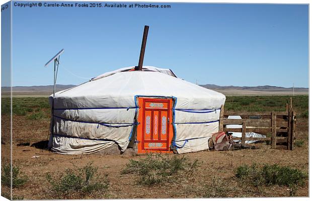  Nomads' House in the Gobi Desert, Mongolia Canvas Print by Carole-Anne Fooks