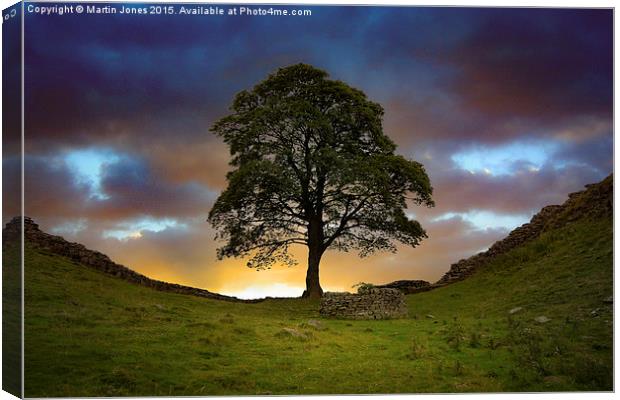  The Sycamore Gap Canvas Print by K7 Photography