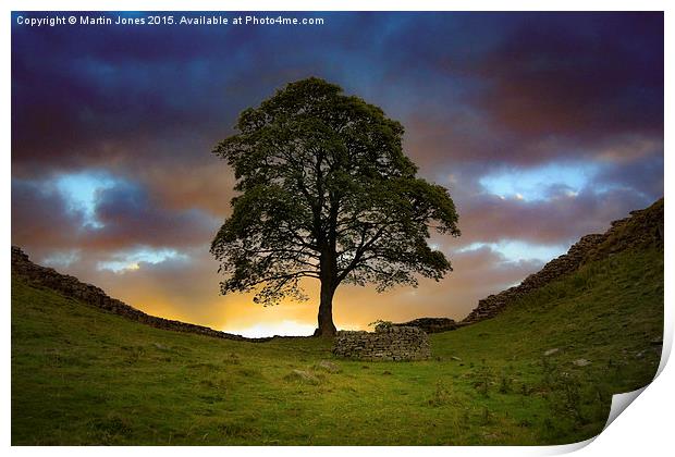  The Sycamore Gap Print by K7 Photography