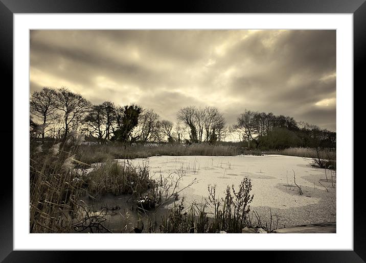 Frozen Pond Framed Mounted Print by Stephen Mole