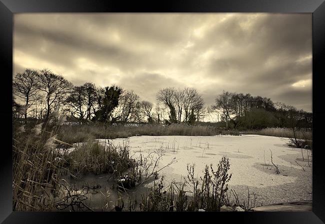 Frozen Pond Framed Print by Stephen Mole