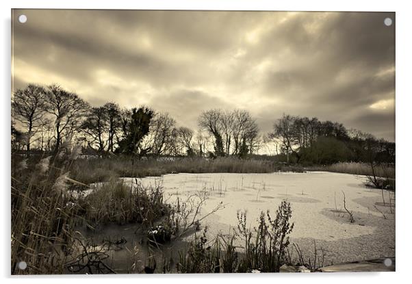 Frozen Pond Acrylic by Stephen Mole