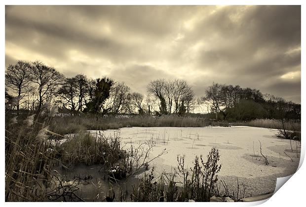 Frozen Pond Print by Stephen Mole
