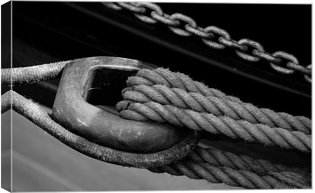 Old Rope Canvas Print by Mark Robson