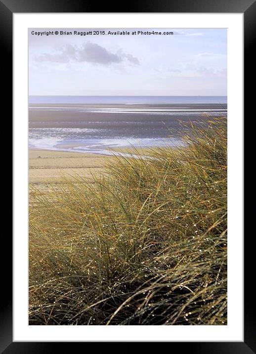  Swansea Bay Grass Dunes Framed Mounted Print by Brian  Raggatt