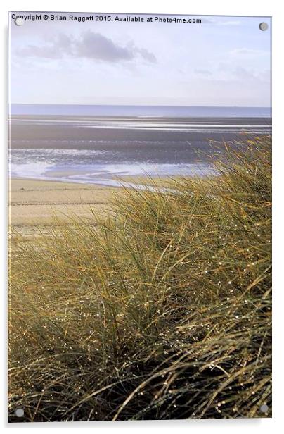  Swansea Bay Grass Dunes Acrylic by Brian  Raggatt