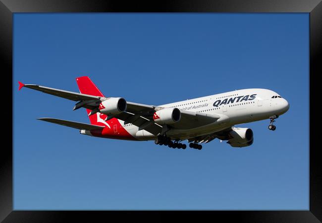 Qantas Airbus A380 Framed Print by David Pyatt