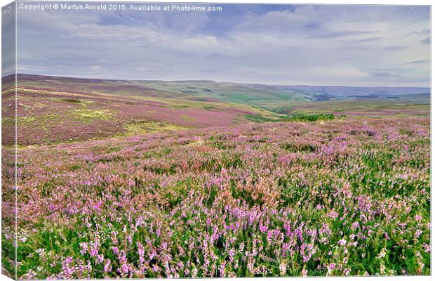  Heather Moorland - Weardale, North Pennines Canvas Print by Martyn Arnold