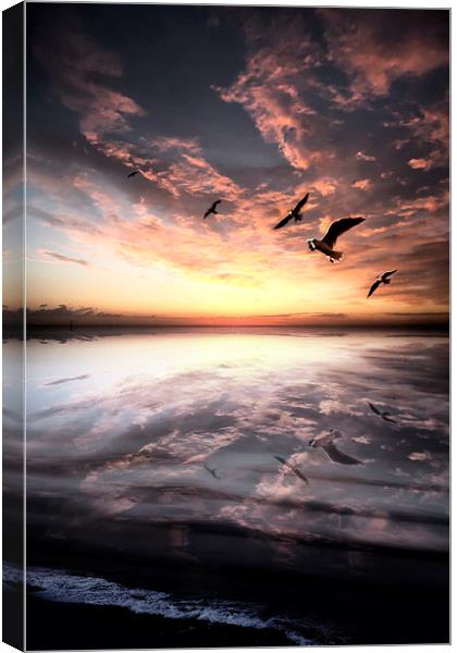  Water and Heaven Canvas Print by Florin Birjoveanu