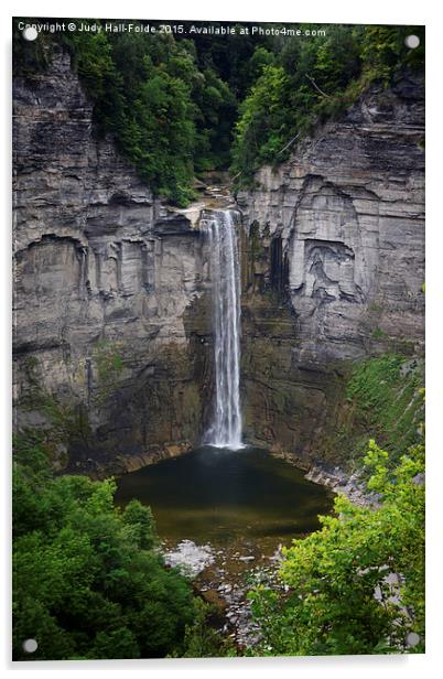  New York Mountain Waterfall Acrylic by Judy Hall-Folde