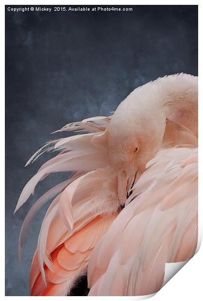 Flamingo Portrait Print by rawshutterbug 