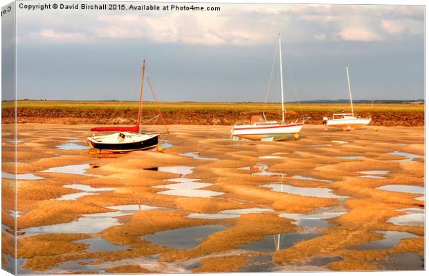  Low tide at Wells-Next-The-Sea, Norfolk Canvas Print by David Birchall