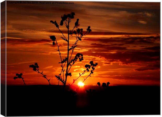  Sunset over the hill Canvas Print by Derrick Fox Lomax