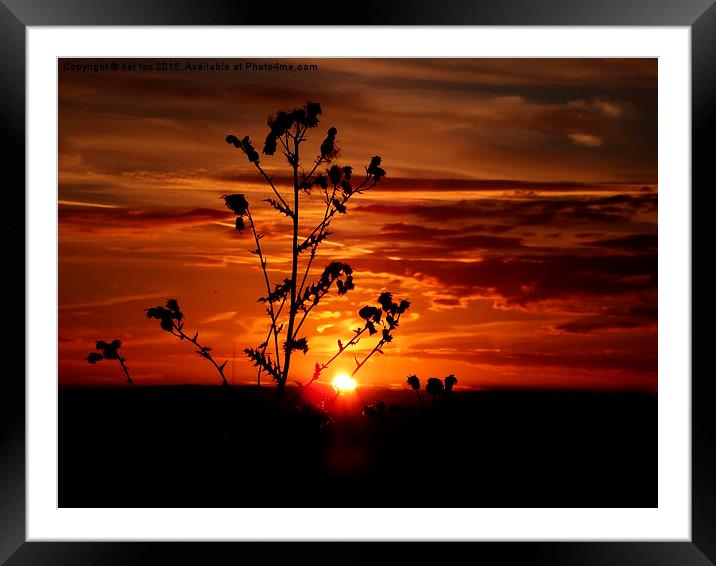  Sunset over the hill Framed Mounted Print by Derrick Fox Lomax